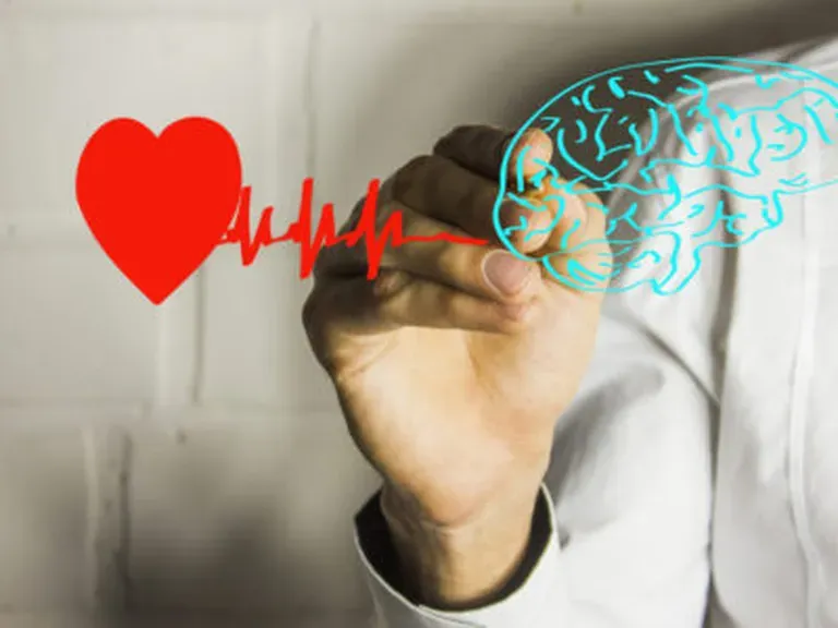 Does My Heart Health Affect My Brain?